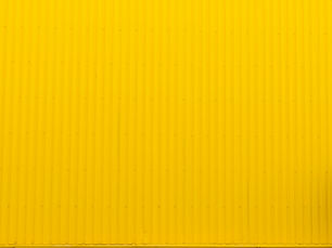 O que é um profissional multi carreira e por que isso não é falta de foco