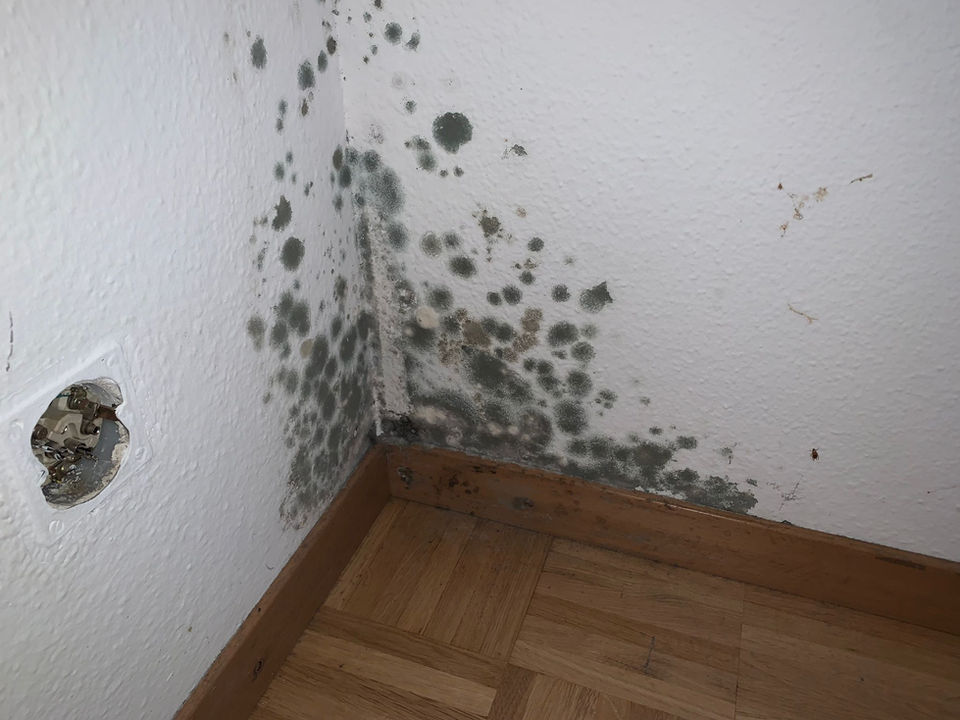 Wand mit starkem Schimmelbefall in der Ecke eines Raumes.