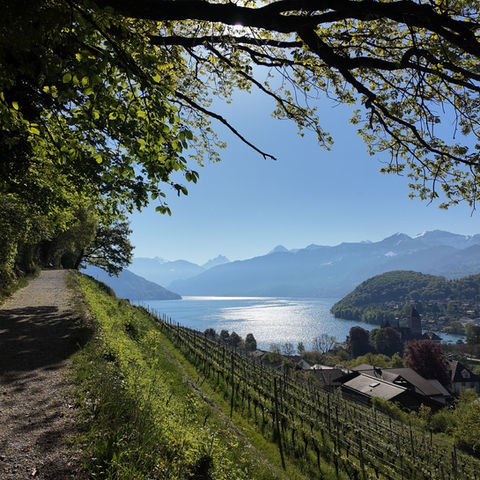 Lakeside path overlooking mountains and vineyards