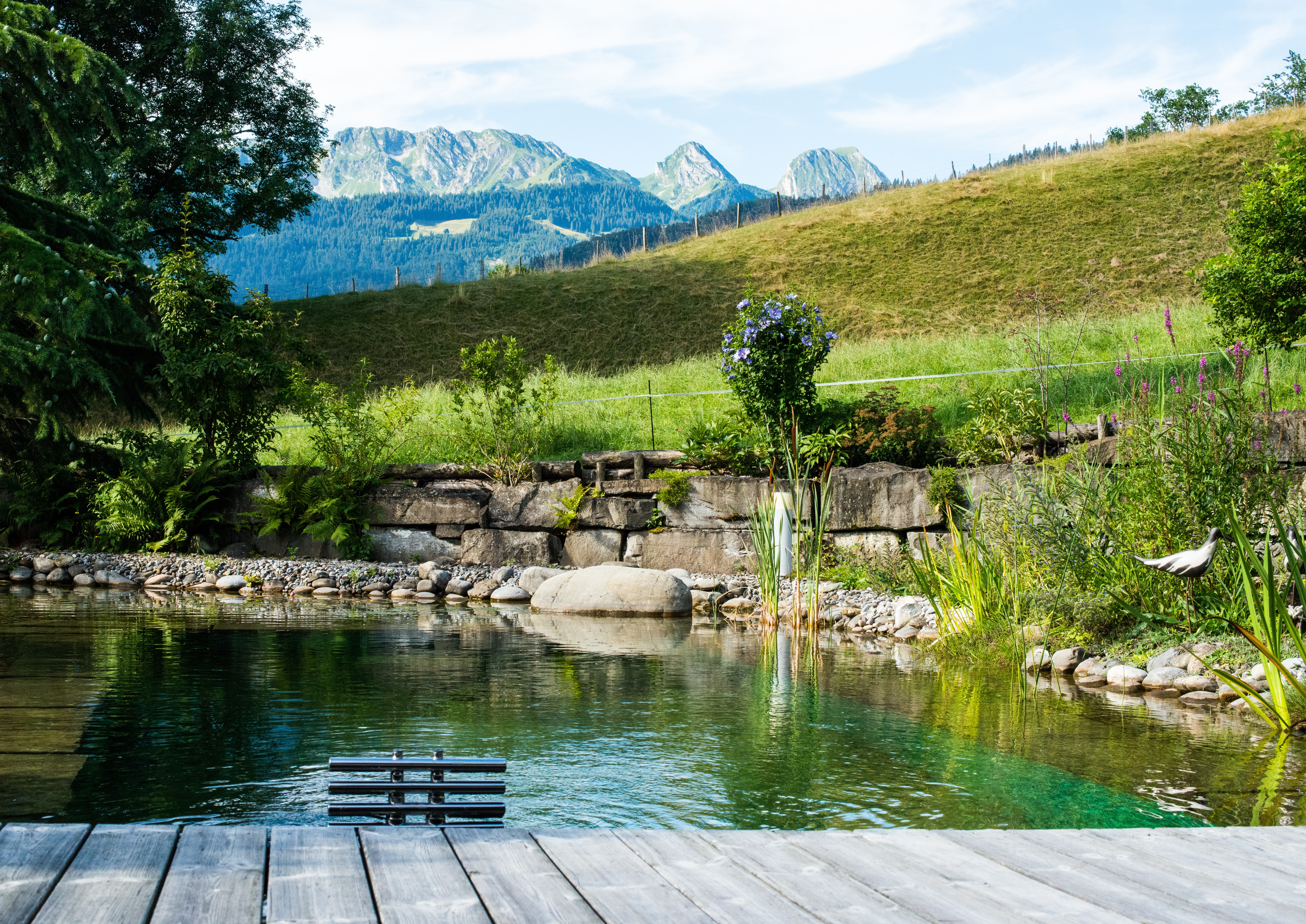 Bild Schwimmteich.jpg