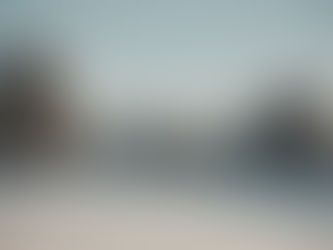 Weite Schneelandschaft mit Tannenbäumen und Bergen im Hintergrund bei klarem Winterlicht.