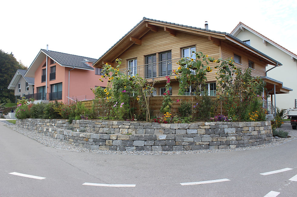 Modernes Haus, Garten, Steinmauer