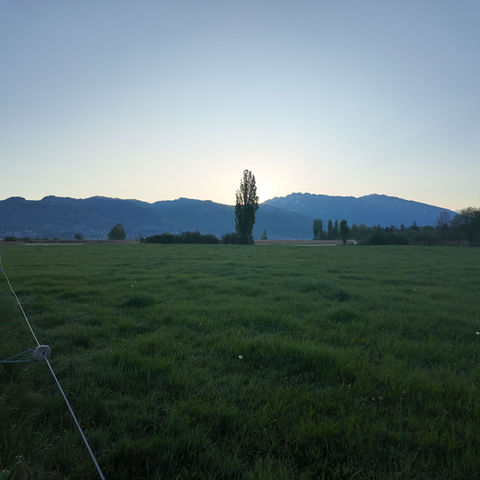 Sunrise over a green field with mountains in the background