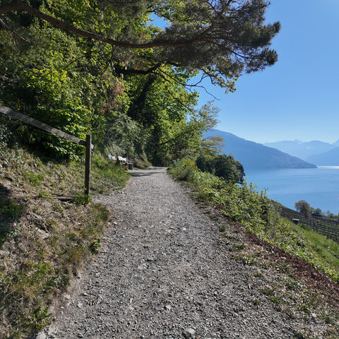 Winding gravel path beside a lake, with mountains and trees