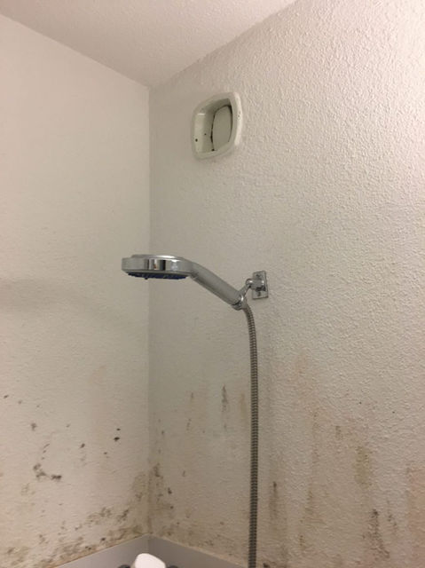 Duschbereich mit sichtbarem Schimmel an der Wand.