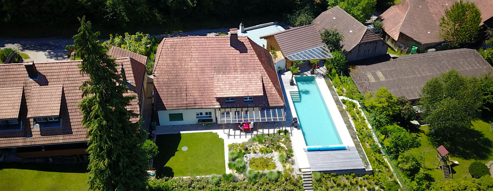 Schwimmteich Naturpool Biotop