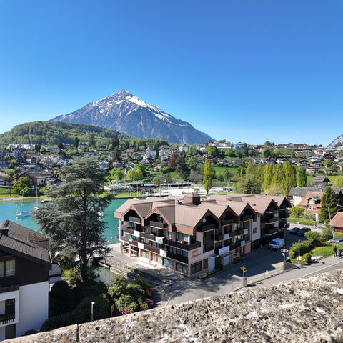 Lakeside buildings with snow-capped mountain in the background