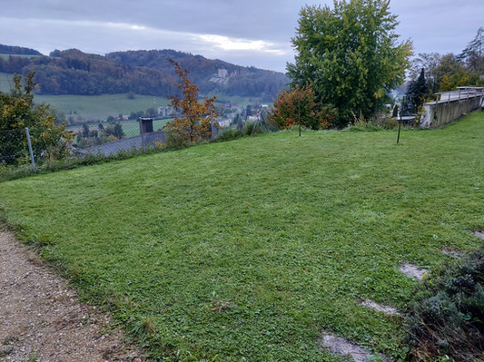 Grüne Wiese mit Blick auf Berge und Bäume in herbstlicher Landschaft.