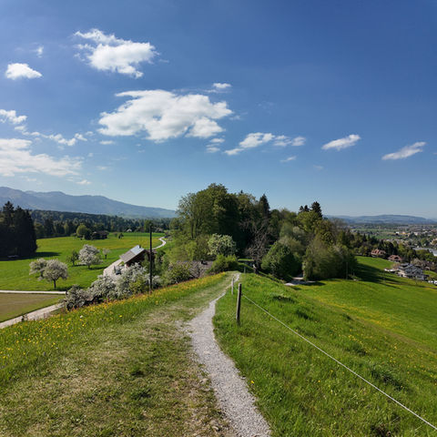 Winding path through rolling green hills under a blue sky