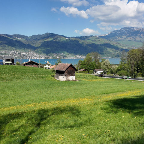 Small wooden barn in a green Swiss meadow overlooking a lake