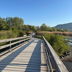 Wooden bridge on the Bonstetten Coffee Tour under a blue sky.