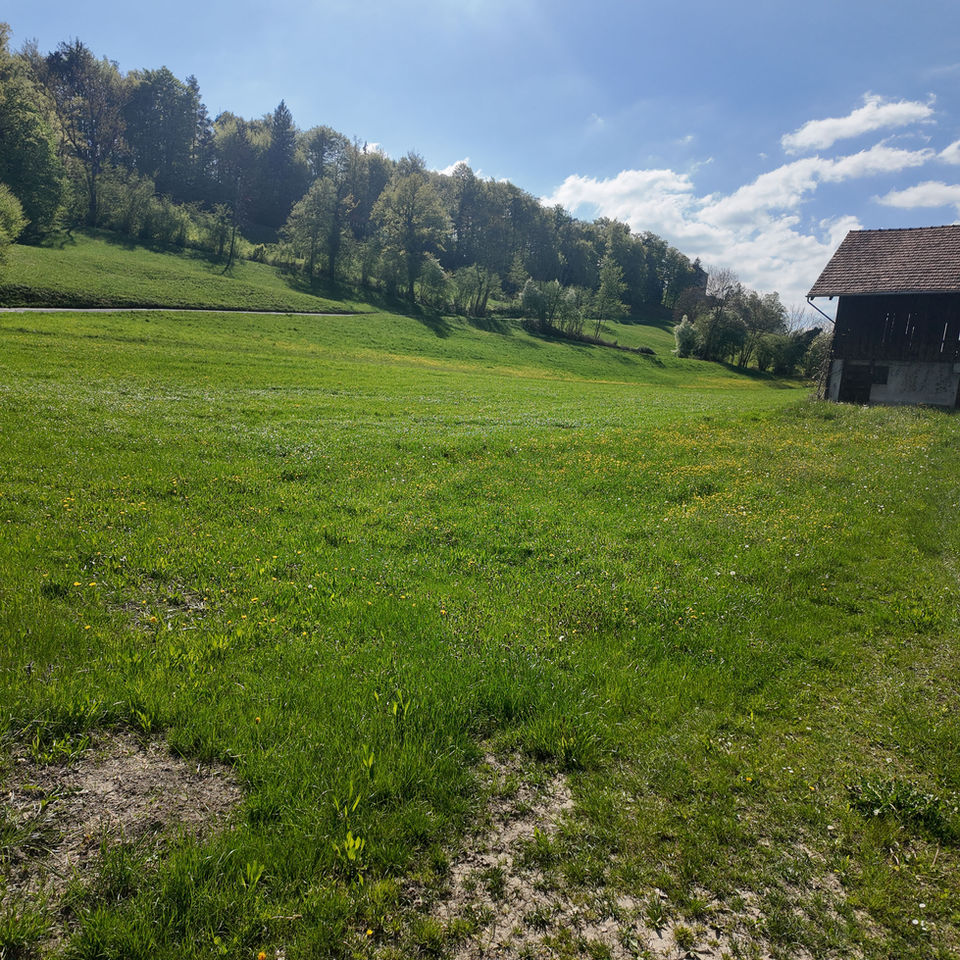 Green meadow with a rustic barn under a blue sky