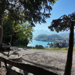 Scenic mountain lake view from a wooded overlook with bench