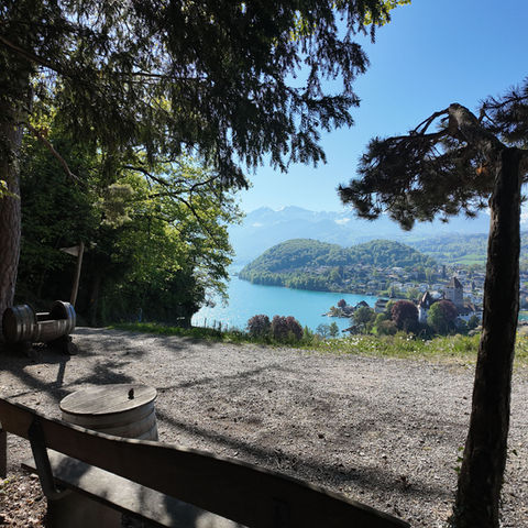 Scenic mountain lake view from a wooded overlook with bench
