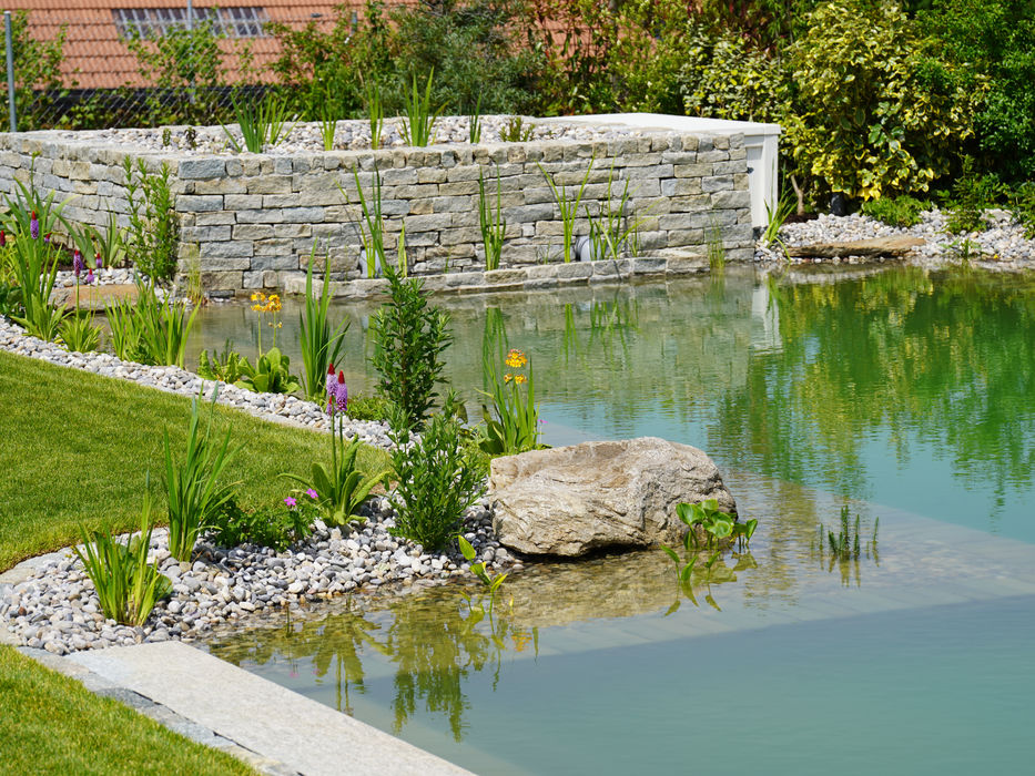Garten mit Naturpool, Kiesumrandung und ruhiger Wasserfläche für eine moderne Gartengestaltung.