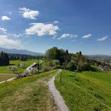 Winding path through green fields with distant mountains
