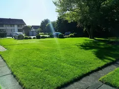 Gepflegter grüner Rasen vor Wohngebäuden unter blauem Himmel mit Bäumen.