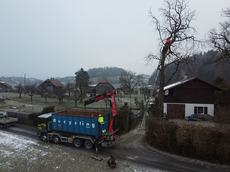 LKW und Arbeiter bei Baumpflege im Winter