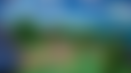 BEACHY BLUFFS UPDATE