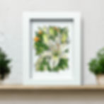 A5 250gsm Art Print | "Birthday Lilies" I