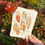 Thumbnail: Uk Owls | A6 Postcard Art Print | Short/Long Eared Owl, Barn Owl, Tawny Owl, Lit