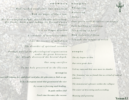 IMG_2511.PNG
