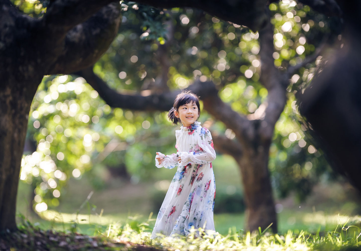 Beautiful girl in a forest, sun natural light