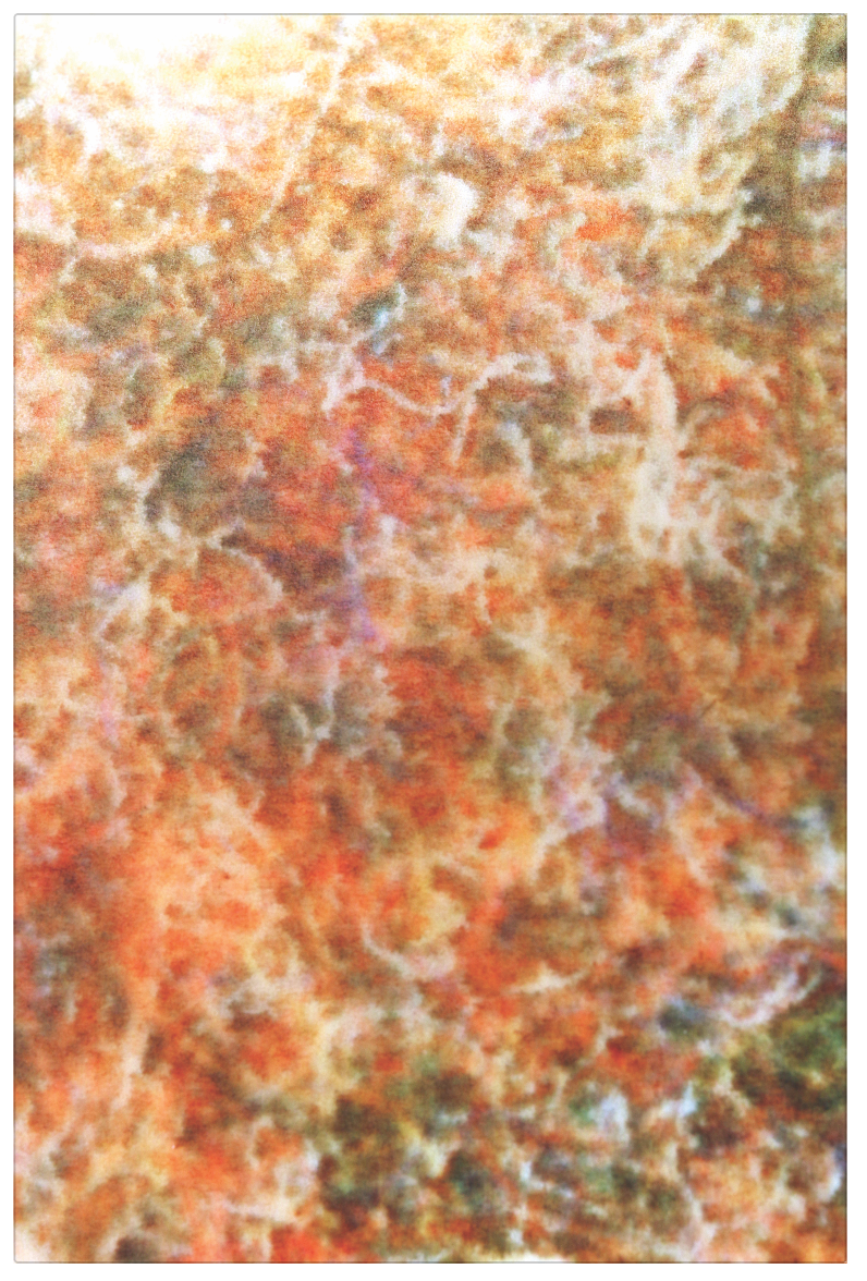 Screen Shot 2019-08-01 at 5.09.28 PM