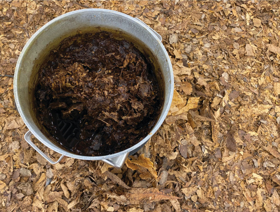 AF_Sense_absence_portafolio7 copy 2.jpg