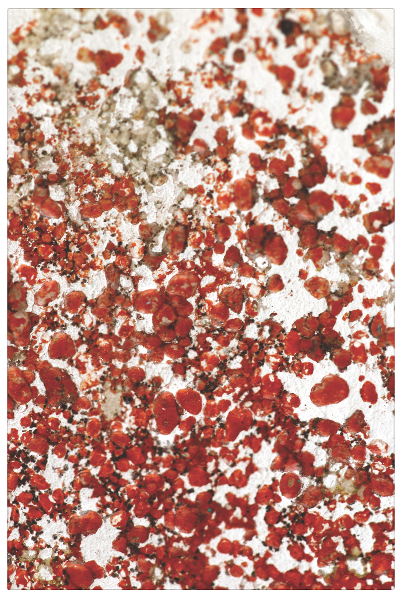 Screen Shot 2019-08-01 at 5.12.58 PM