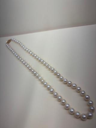 Consignment Graduated Cultured Pearls