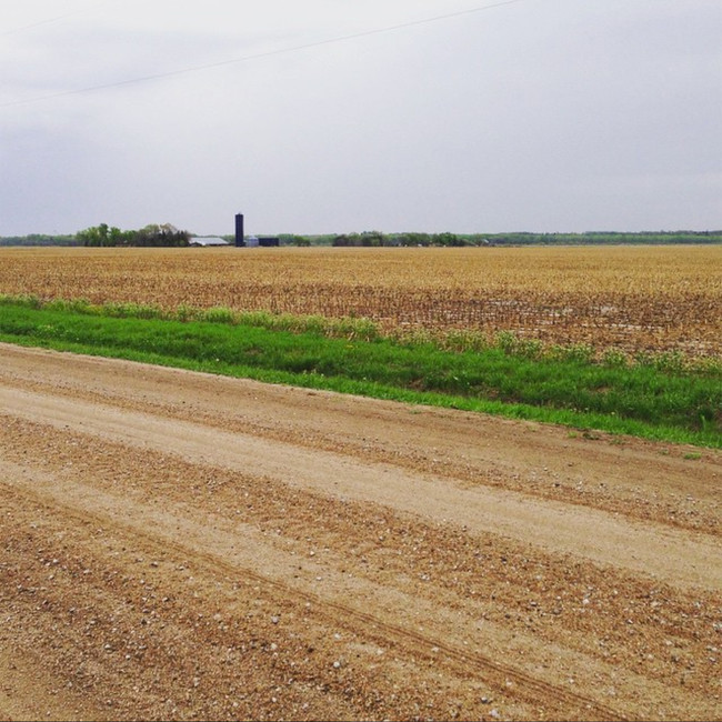 oldcorn.jpeg