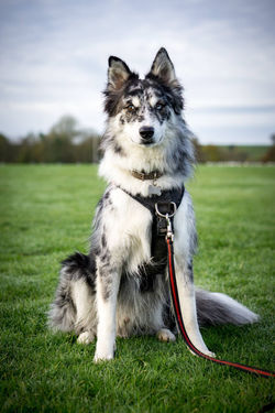 15068505_10154715352096726_3731461489941249243_o