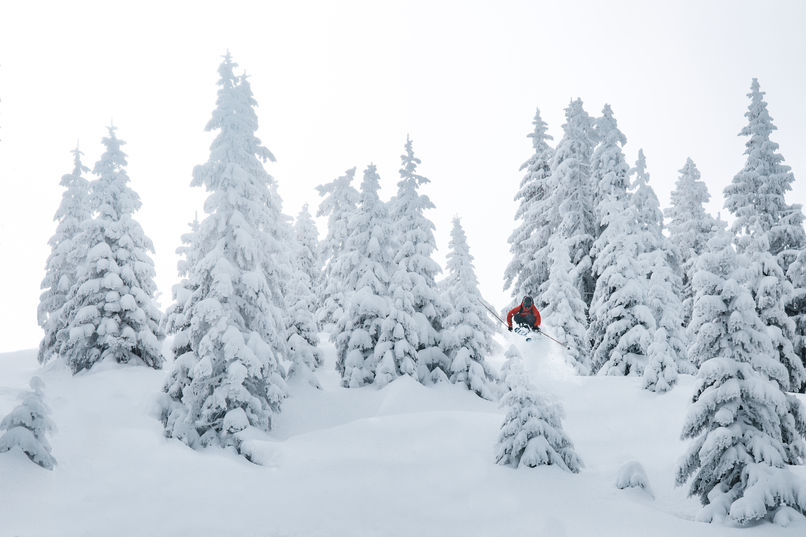 Sportfotografie Sportphotography Skifotografie Skiphotography Actionfotografie Actionphotography