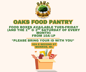 Red Beige Modern Food Drive Flyer.png