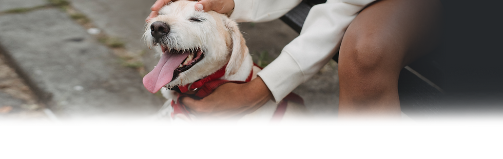 pexels-samson-katt-5257628(2).png