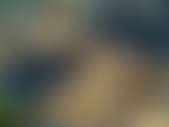 Building a Resilient Future: The Move Toward Disaster-Resistant Construction Practices