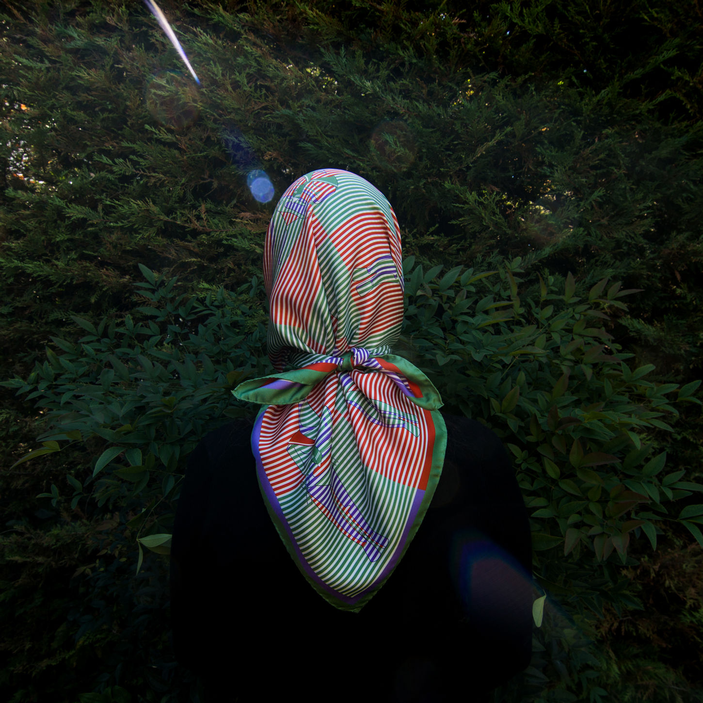 vasiliki design winter swimmers.jpg