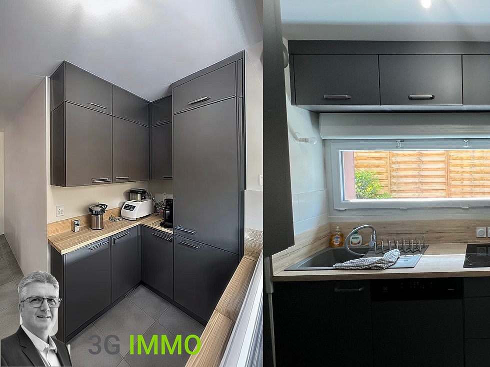 Miniature : 01500 - Appartement T2 de 55 m 2