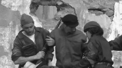 vlcsnap-2019-04-01-21h36m12s052