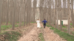 vlcsnap-2019-04-01-22h31m26s061