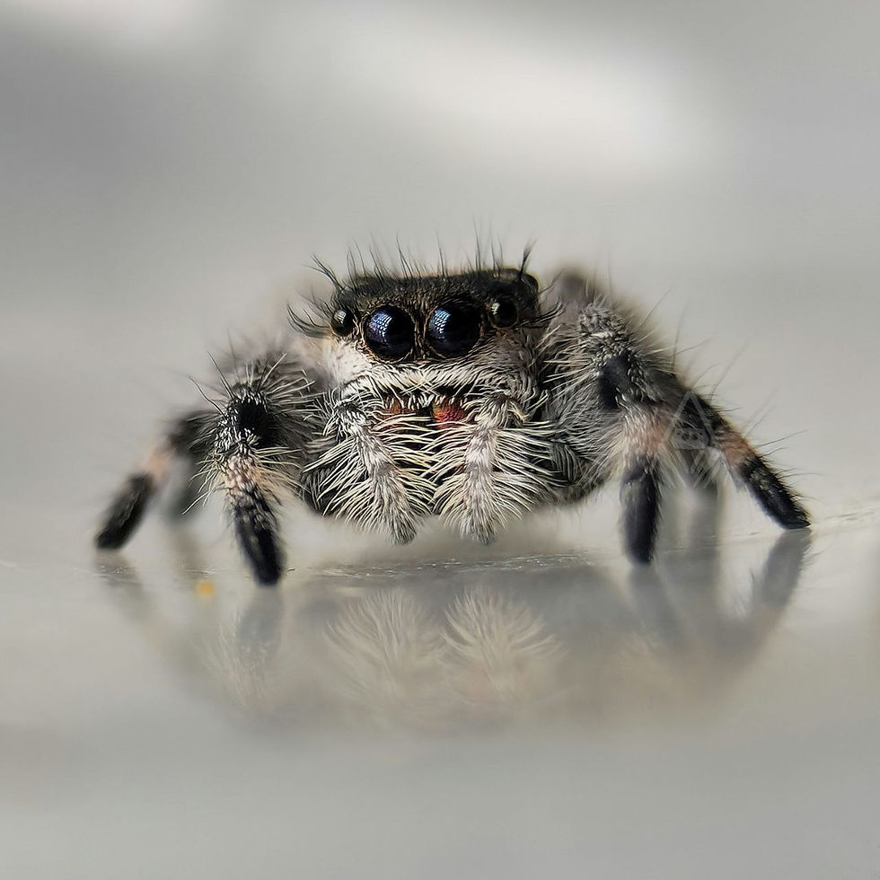 photo_2023-05-03_17-31-12 (6)