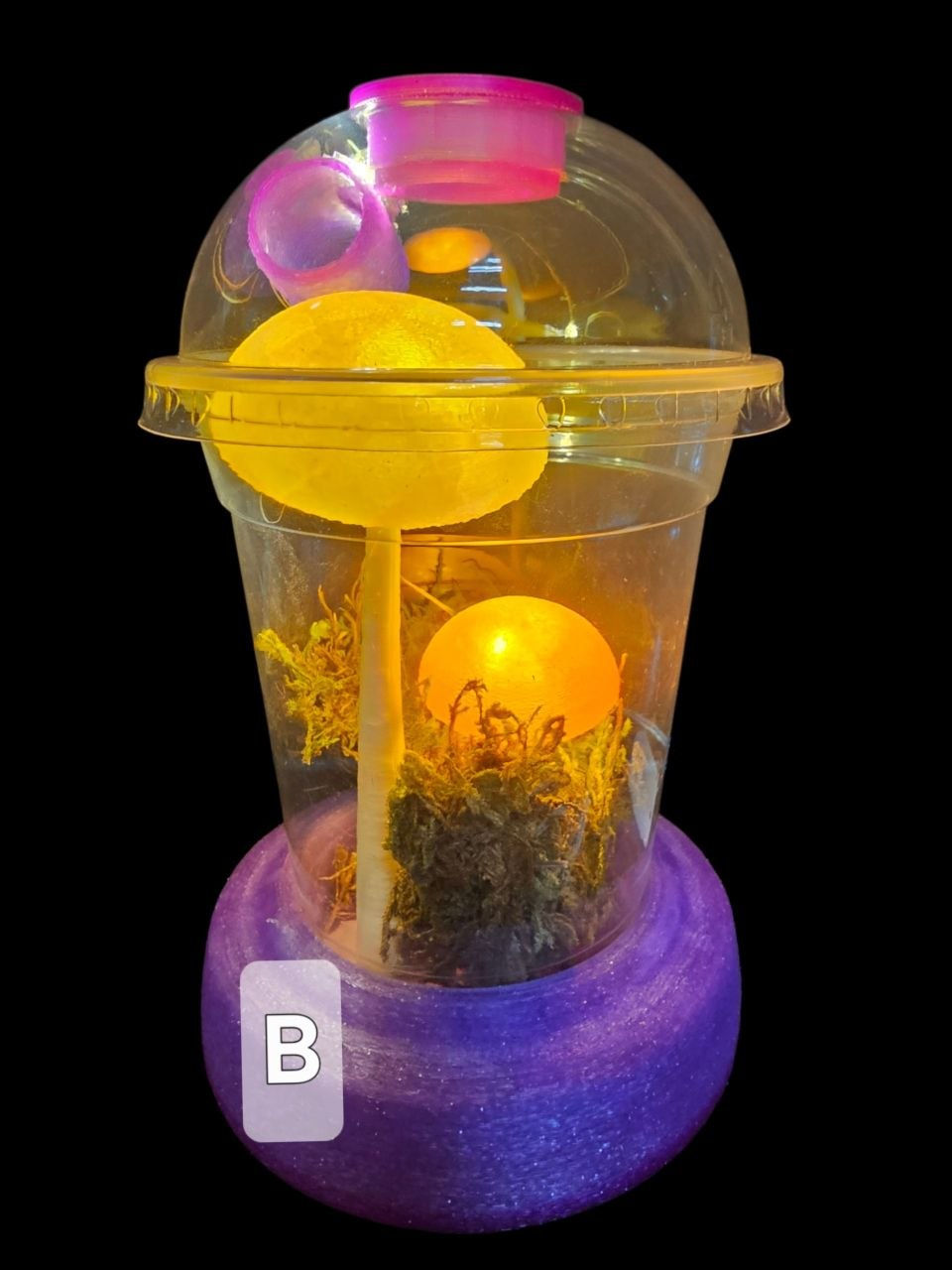 Thumbnail: EnGLOWsure Starter Cup