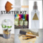 Jumping Spider Starter Kit