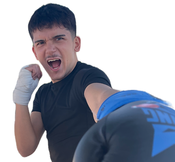 1734491571312.png