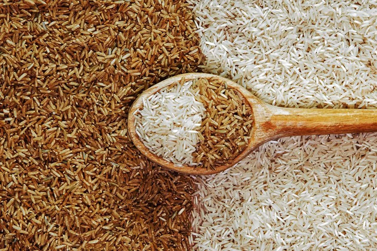 rice-wheat.webp