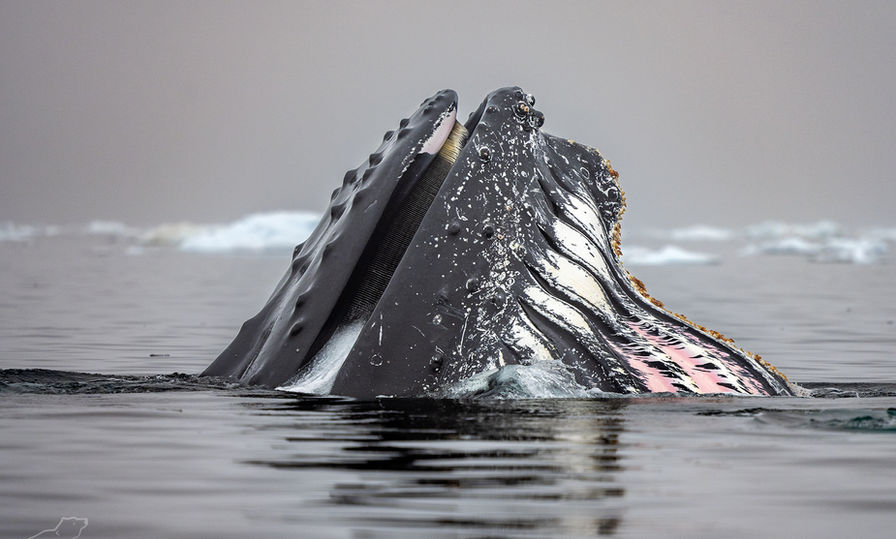 DSC_8816-Edit small.jpg