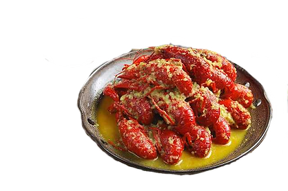 e8c55da2a6fb4c44814e49045380c0fa_edited.png