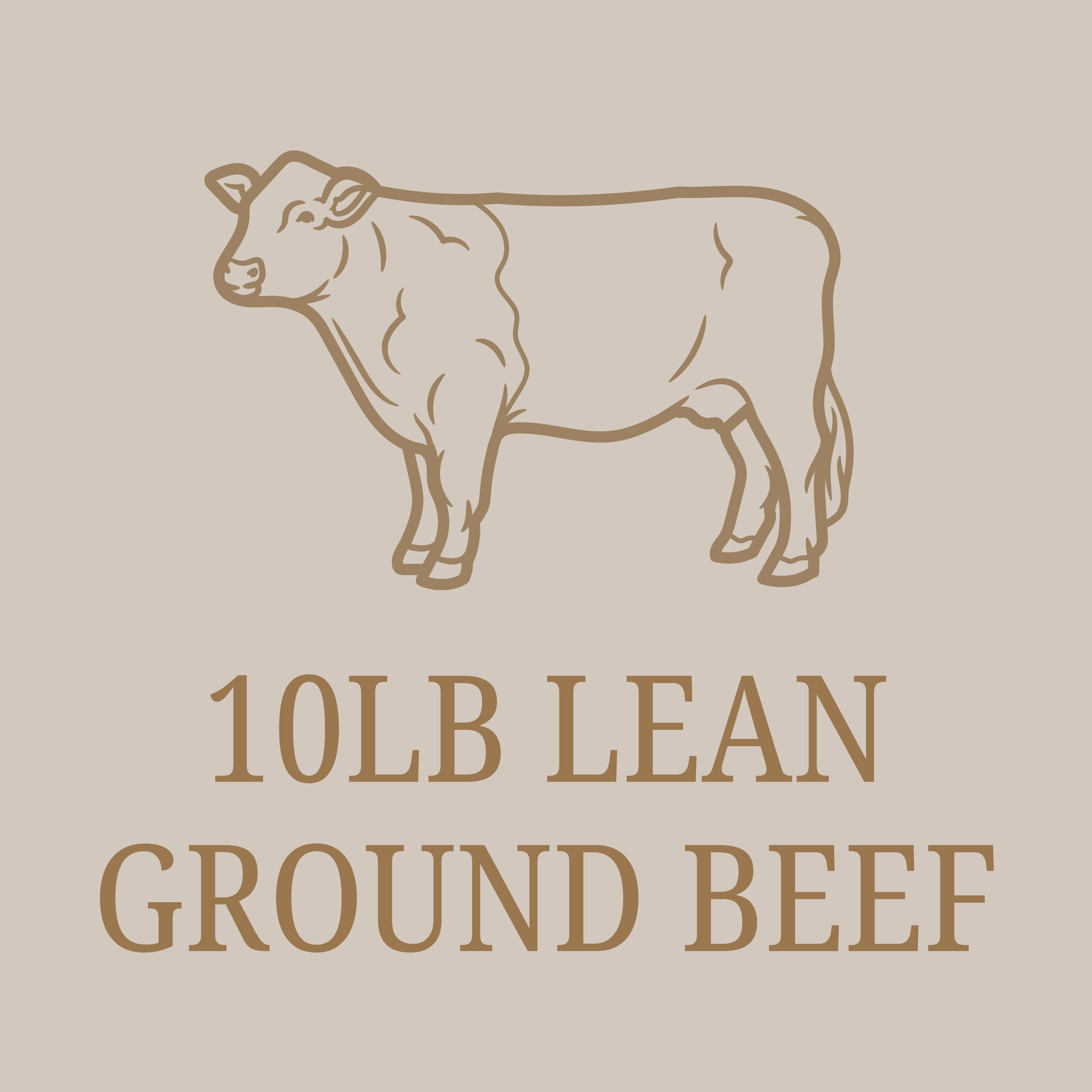 10lb Lean Ground Beef Box