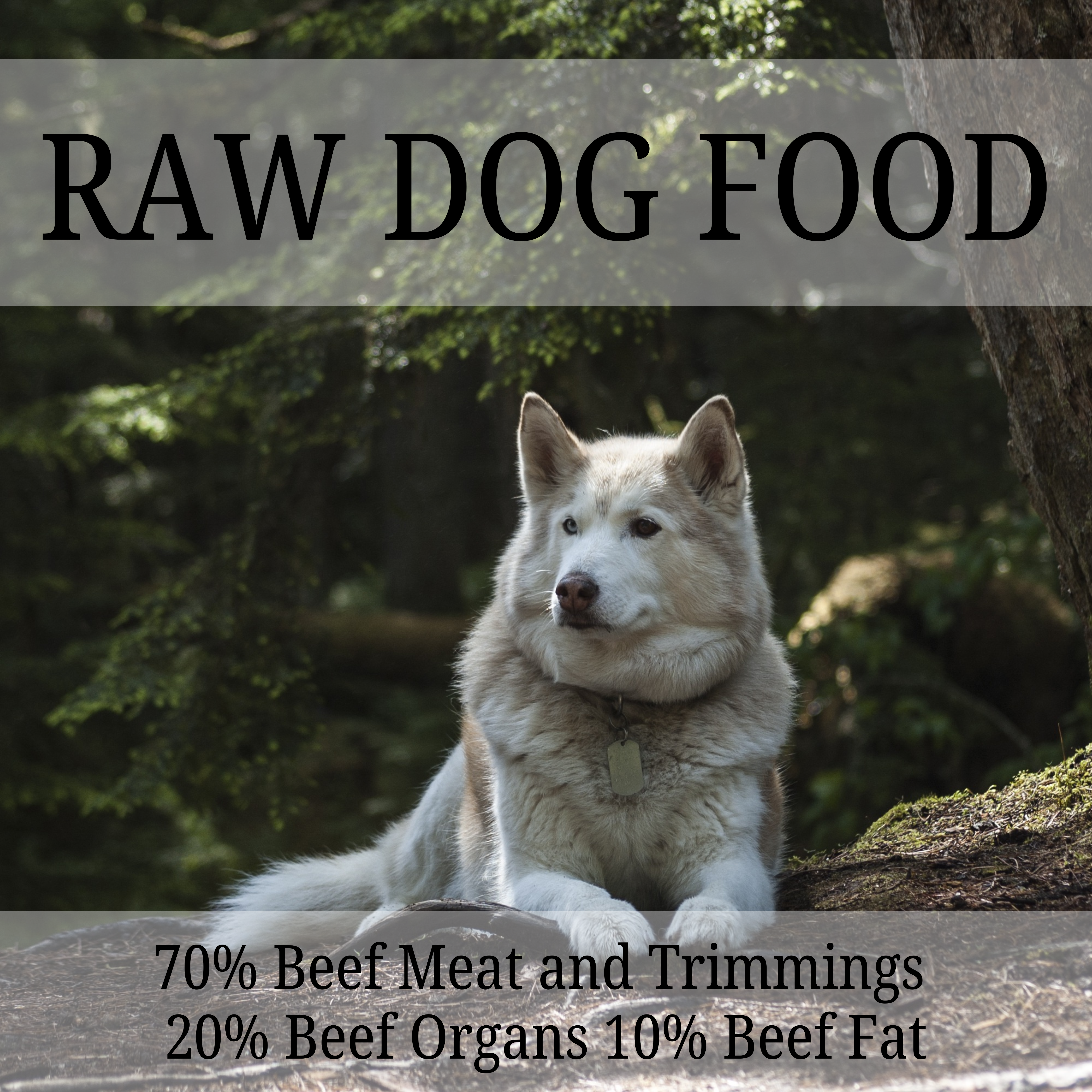 10lb Raw Dog Food